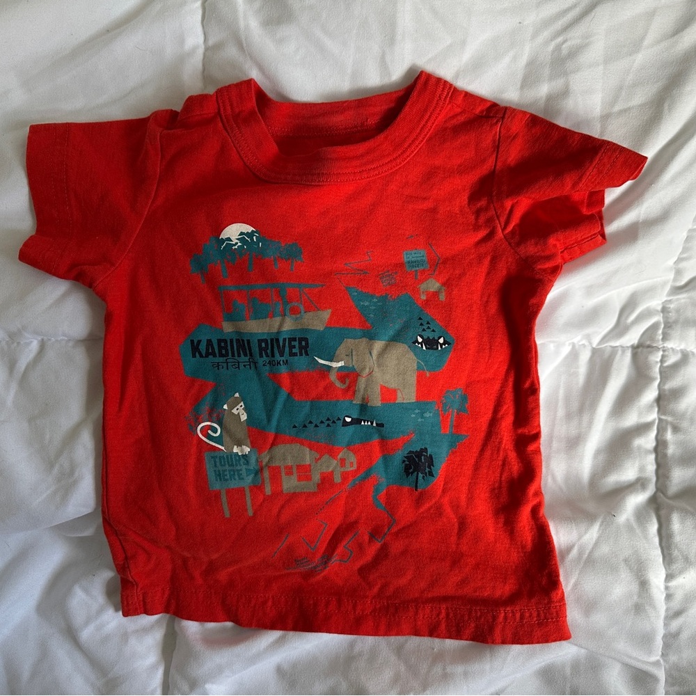 Tea collection India tee